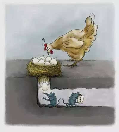 史上最惊心的内幕交易 违法犯罪令人触目惊心