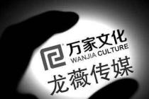 股民状告证券虚假陈述维权，一审判令赵薇承担连带责任